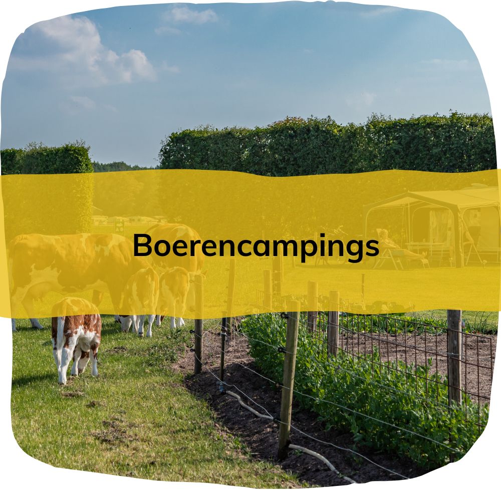 boerencampings voor kinderen