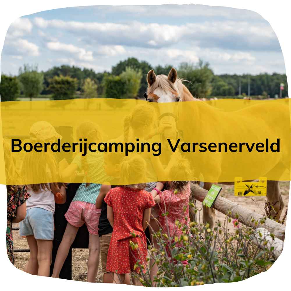 Boerderijcamping Varsenerveldd